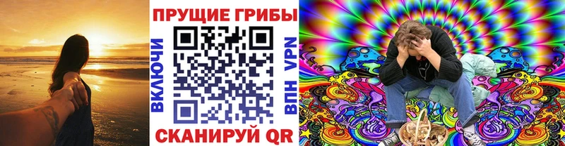 наркота  Ковров  Галлюциногенные грибы мухоморы 