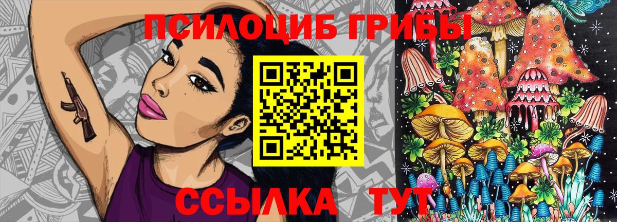 Ковров  Псилоцибиновые грибы Cubensis  Галлюциногенные грибы MAGIC MUSHROOMS  Вход с VPN 